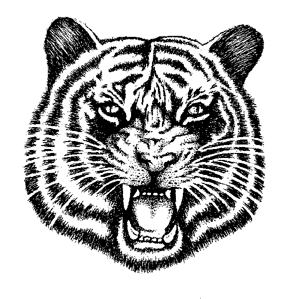 tiger.gif (21635 bytes)